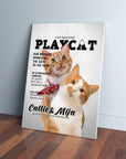 'Playcat' Personalized 2 Pet Canvas