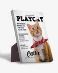 'Playcat' Personalized Pet Standing Canvas