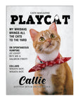 Póster de mascota personalizada 'Playcat'