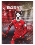 'Poland Doggos Soccer' Personalized Pet Blanket