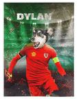 'Wales Doggos Euro Football' Personalized Pet Blanket