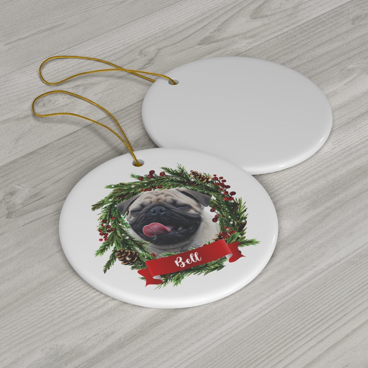 Personalized Pet Ornaments: Digital Illustration (8 Backgrounds)