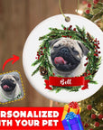 Personalized Pet Ornaments: Digital Illustration (8 Backgrounds)