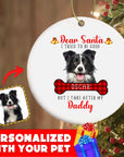 Personalized Pet Ornaments: Digital Illustration (8 Backgrounds)