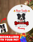 Personalized Pet Ornaments: Digital Illustration (8 Backgrounds)