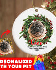 Personalized Pet Ornaments: Digital Illustration (8 Backgrounds)