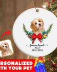 Personalized Pet Ornaments: Digital Illustration (8 Backgrounds)