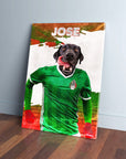 'Mexico Doggos Soccer' Personalized Pet Canvas