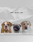 Personalized Modern 3 Pet Blanket