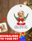 Personalized Pet Ornaments: Digital Illustration (8 Backgrounds)