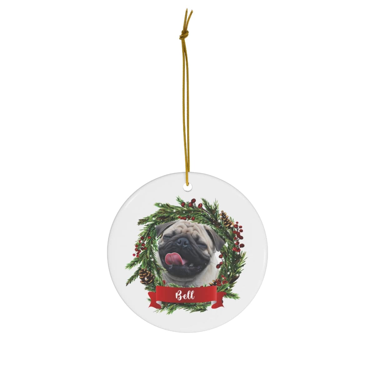 Personalized Pet Ornaments: Digital Illustration (8 Backgrounds)