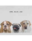 Personalized Modern 3 Pet Blanket