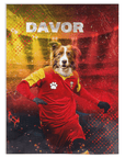 'Montenegro Doggos Soccer' Personalized Pet Blanket