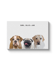 Personalized Modern 3 Pet Canvas